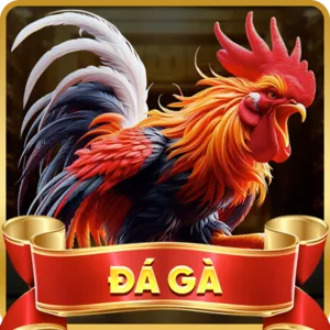 Cá Cược Thể Thao NEW88